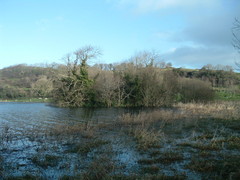 crannog