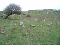 Enclosed Habitation on Knockadoon