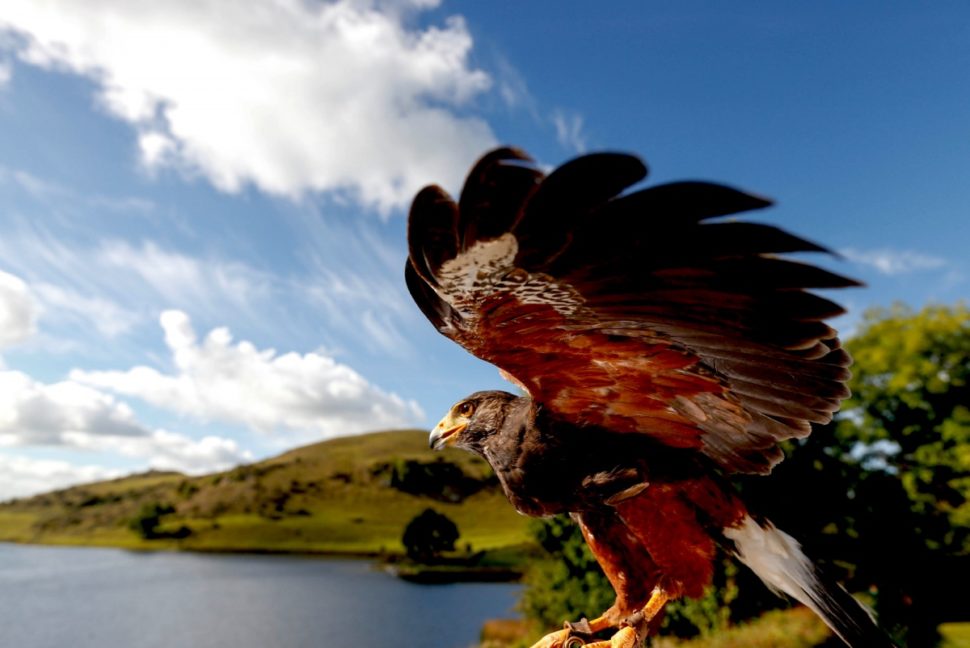 360 Lough Gur Tour