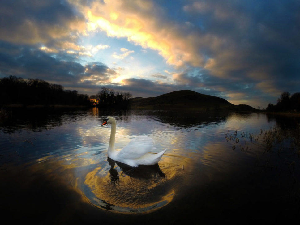 Walking Limerick: Guided Walking Tour of Lough Gur