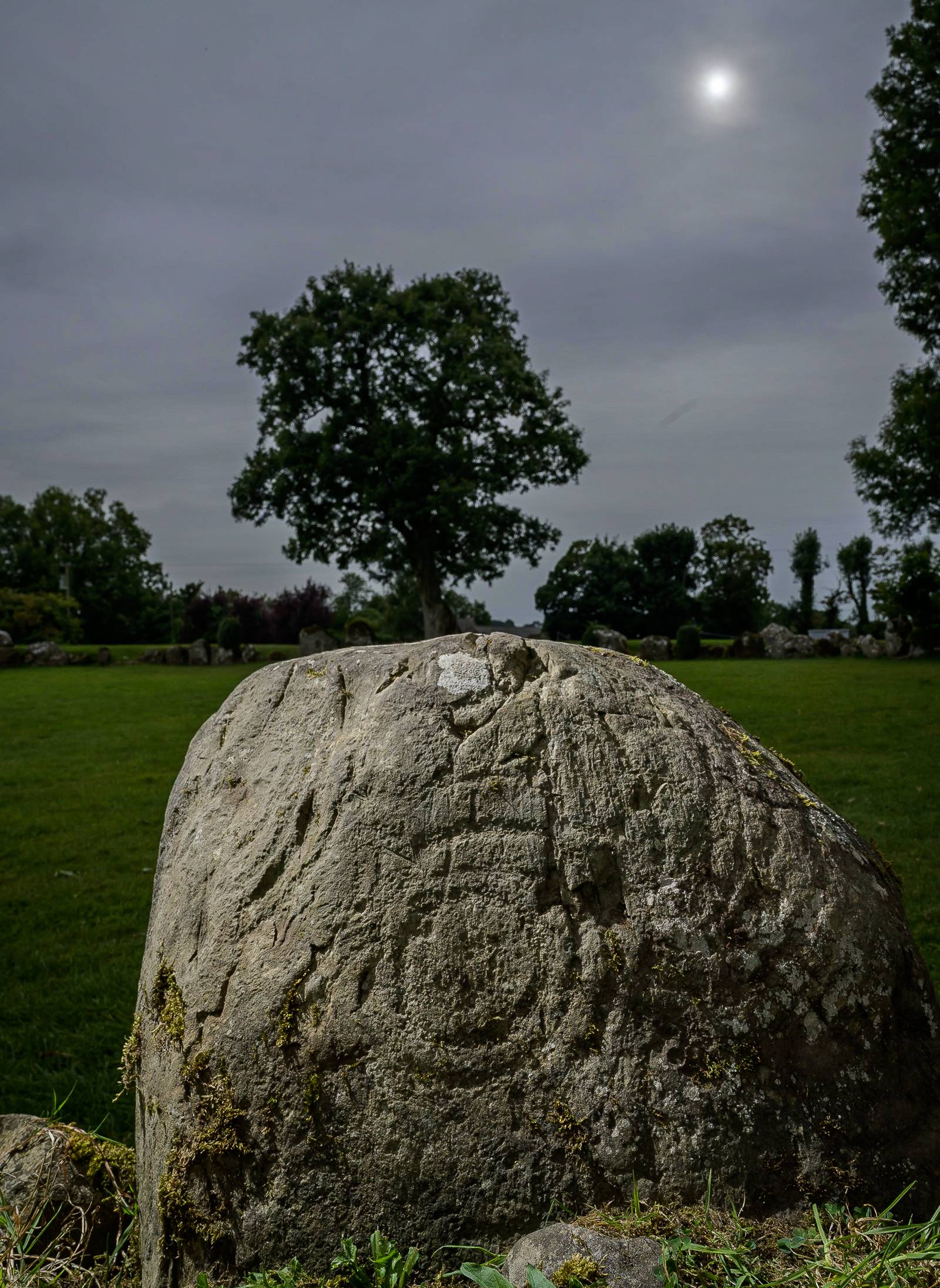 Lough Gur Megalithic Art Find