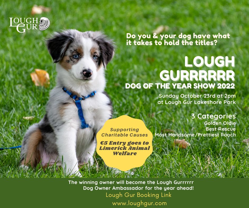 Lough Gurrrrrr Dog Show
