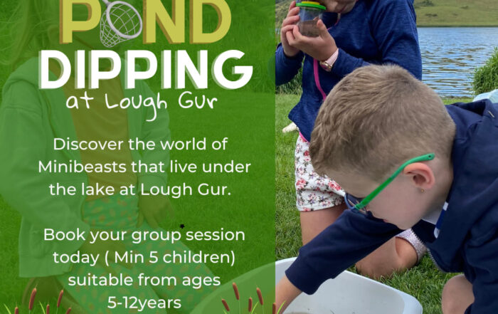 Pond Dipping Poster