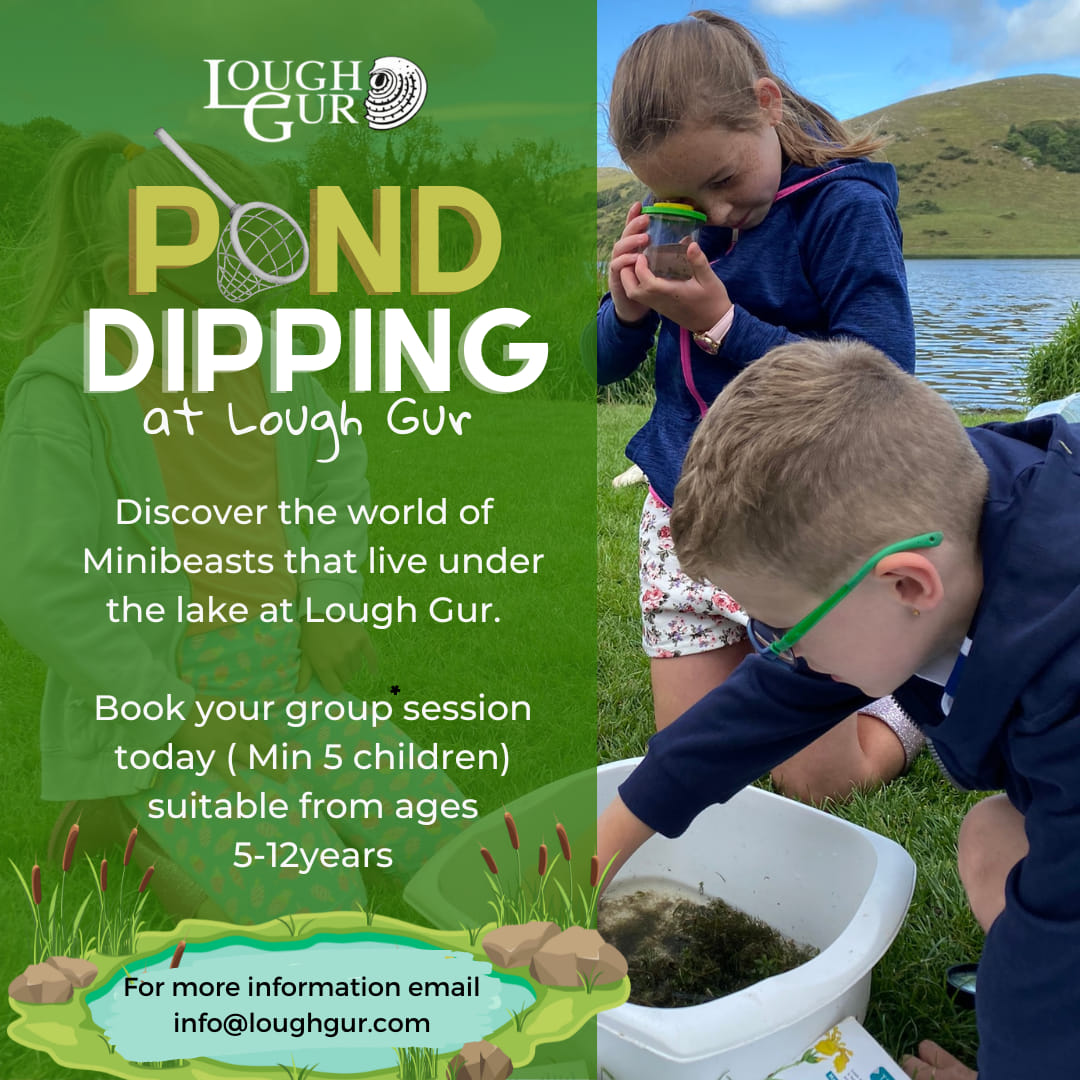 Pond Dipping Poster