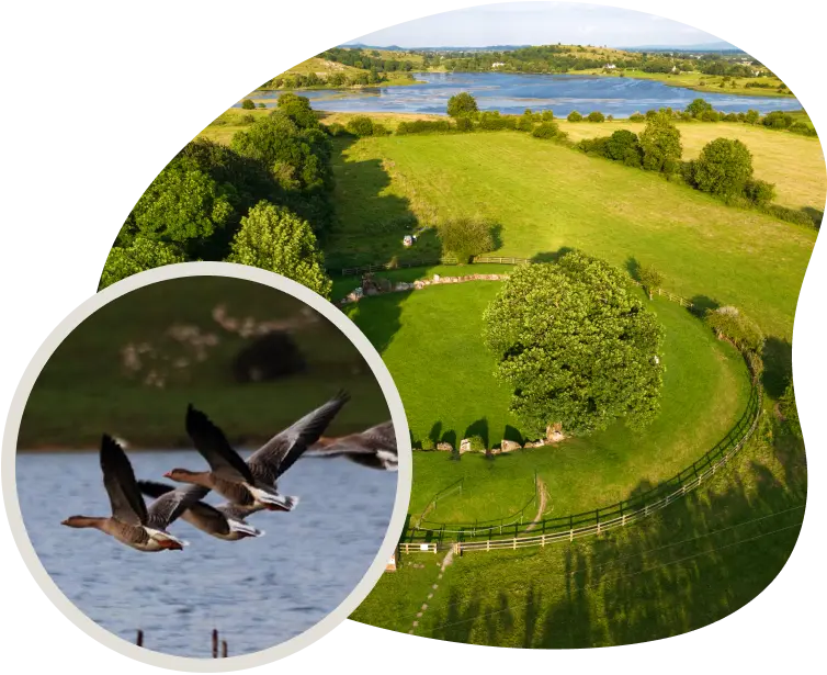 Discover the Story of Lough Gur